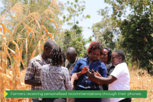 Why open-source AI is good for business: Two examples from Kenya and Uganda 1 LDRI 1 1