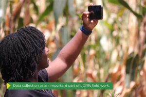 Why open-source AI is good for business: Two examples from Kenya and Uganda 2 LDRI 3