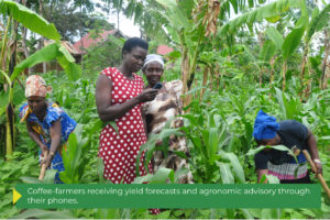 Why open-source AI is good for business: Two examples from Kenya and Uganda 4 M Omulimisa 2